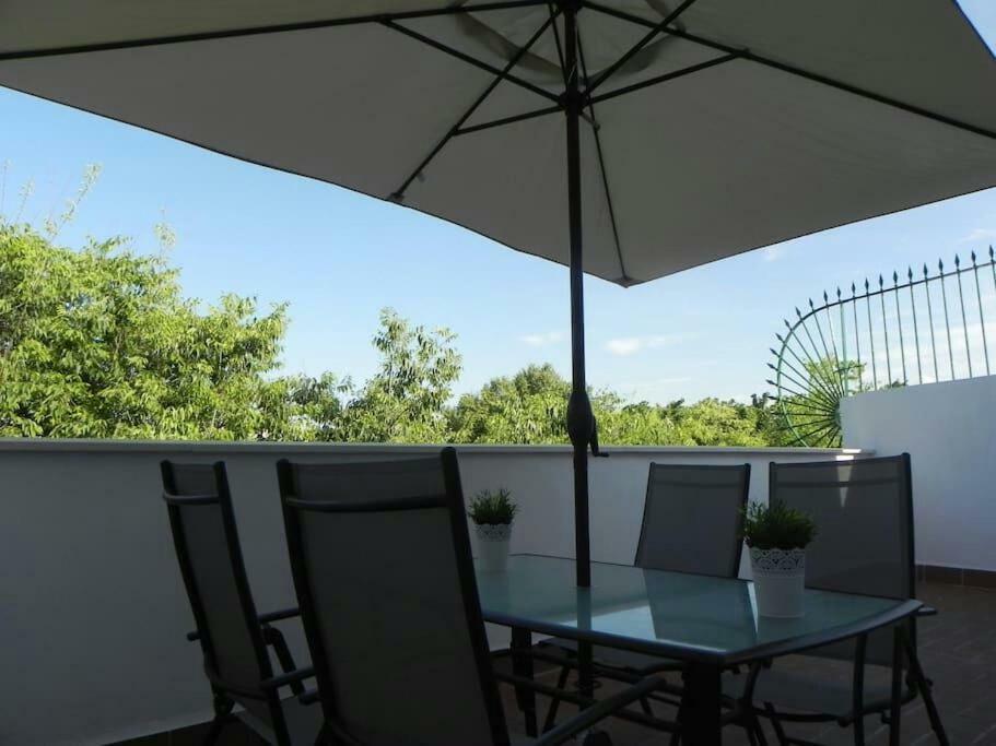 Atico Con Terraza En Alameda De Hercules Sevilla Exteriör bild