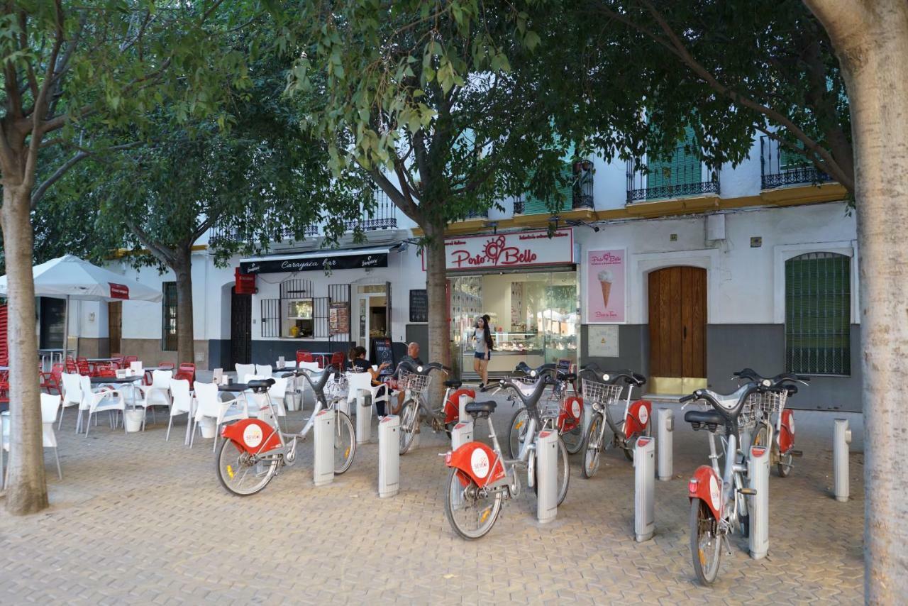 Atico Con Terraza En Alameda De Hercules Sevilla Exteriör bild