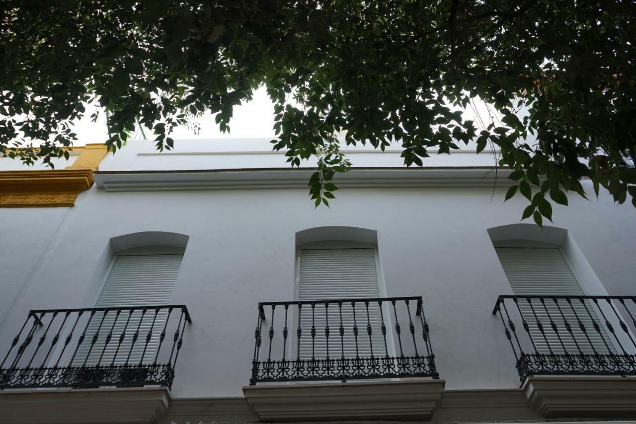 Atico Con Terraza En Alameda De Hercules Sevilla Exteriör bild